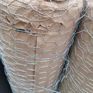 Kuku Net,Chicknet