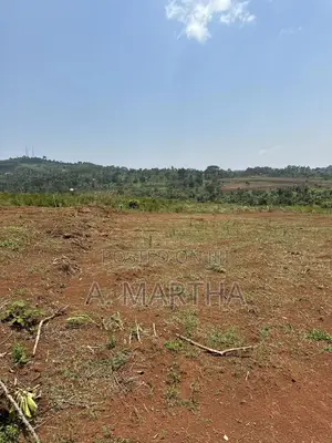 Land for Sale in Nkokonjeru