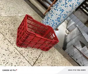 Big Vegetables Plastic Crates Plastic Crates