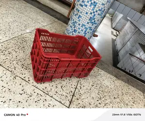 Big Vegetables Plastic Crates Plastic Crates