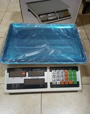 Electronic Weigh 5g Shop Weighing Scale 30kg Digital Weighing Scale