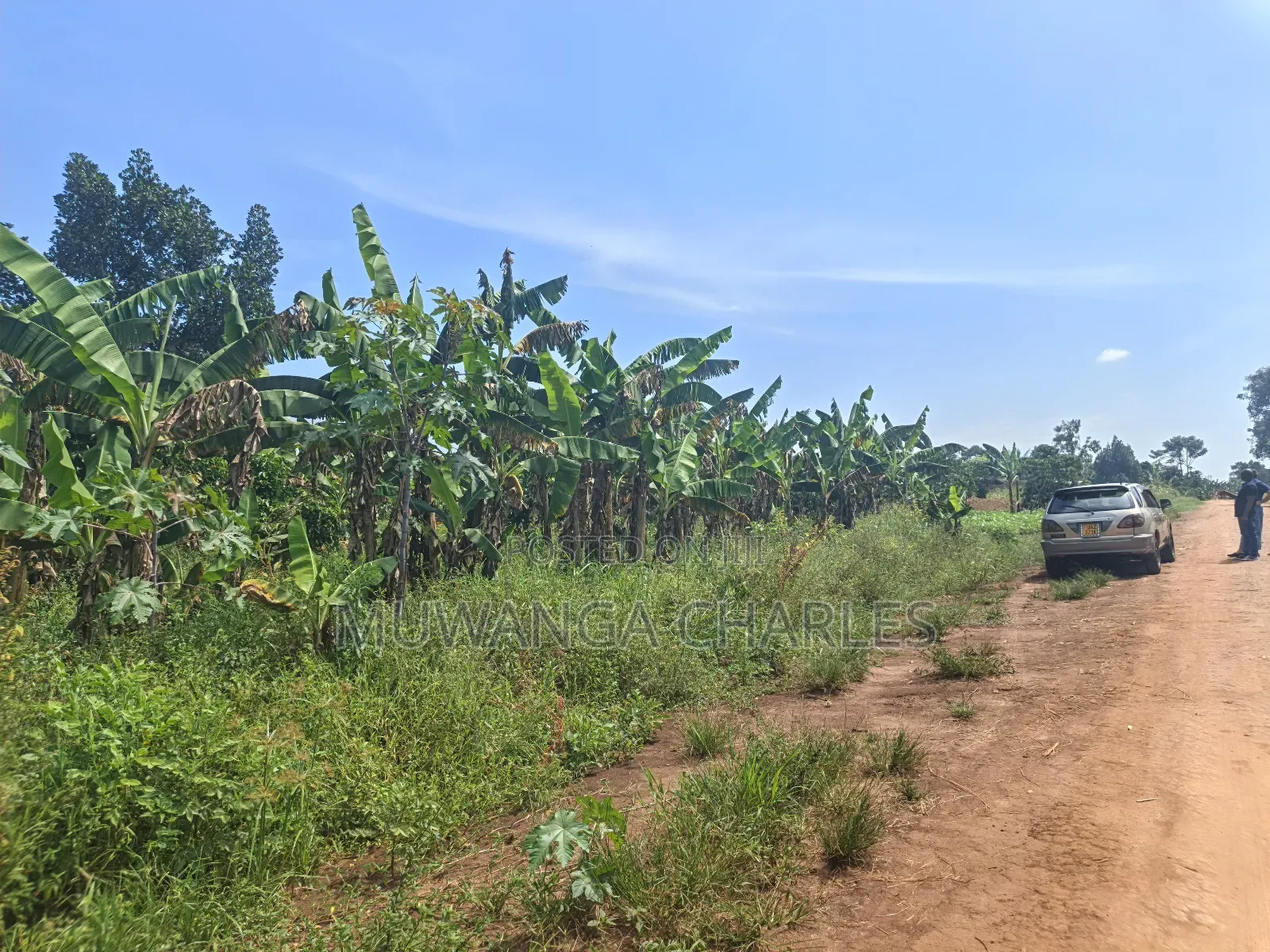 5acres of Land on Quick Sale in Janda Zirobwe Road