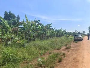 5acres of Land on Quick Sale in Janda Zirobwe Road