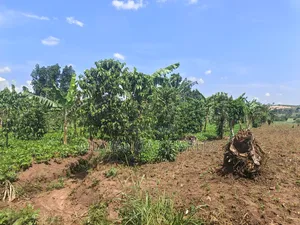 5acres of Land on Quick Sale in Janda Zirobwe Road