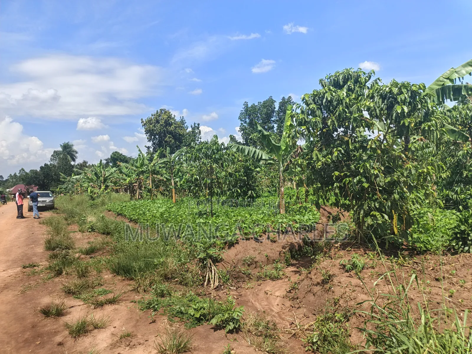 5acres of Land on Quick Sale in Janda Zirobwe Road