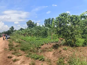 5acres of Land on Quick Sale in Janda Zirobwe Road