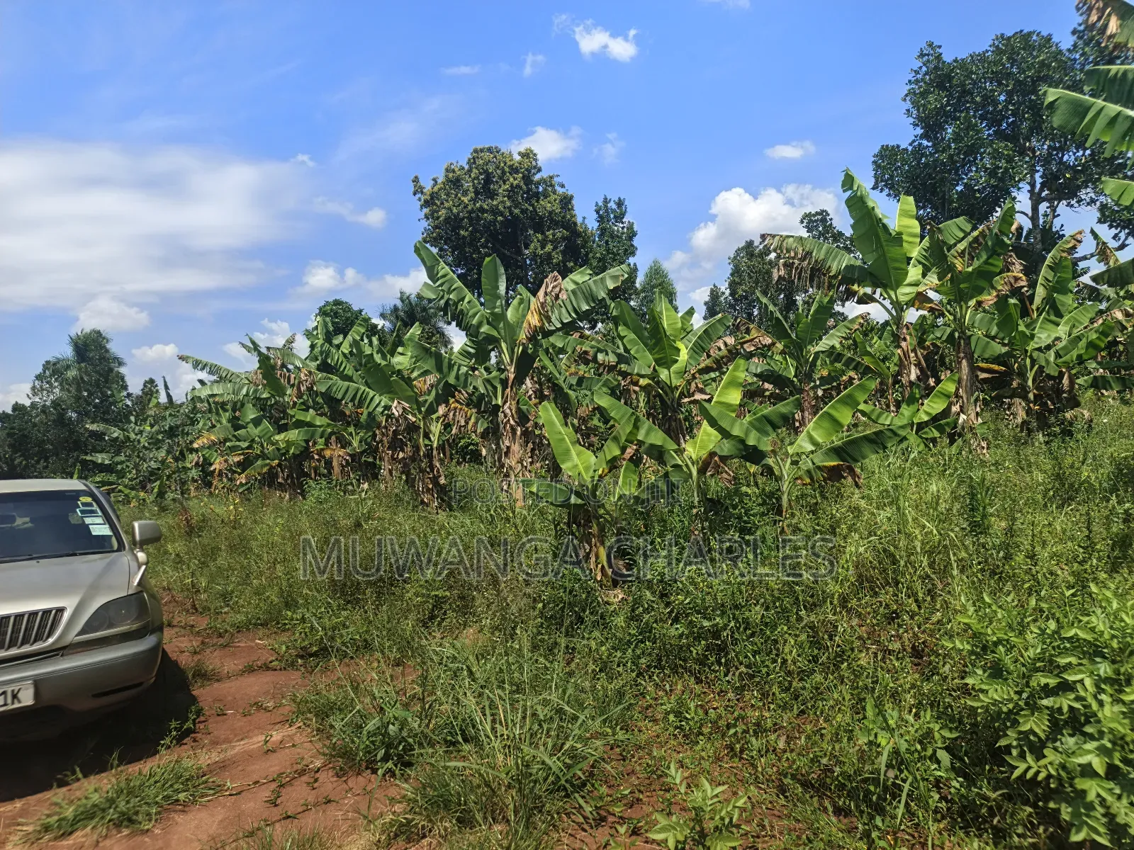 5acres of Land on Quick Sale in Janda Zirobwe Road