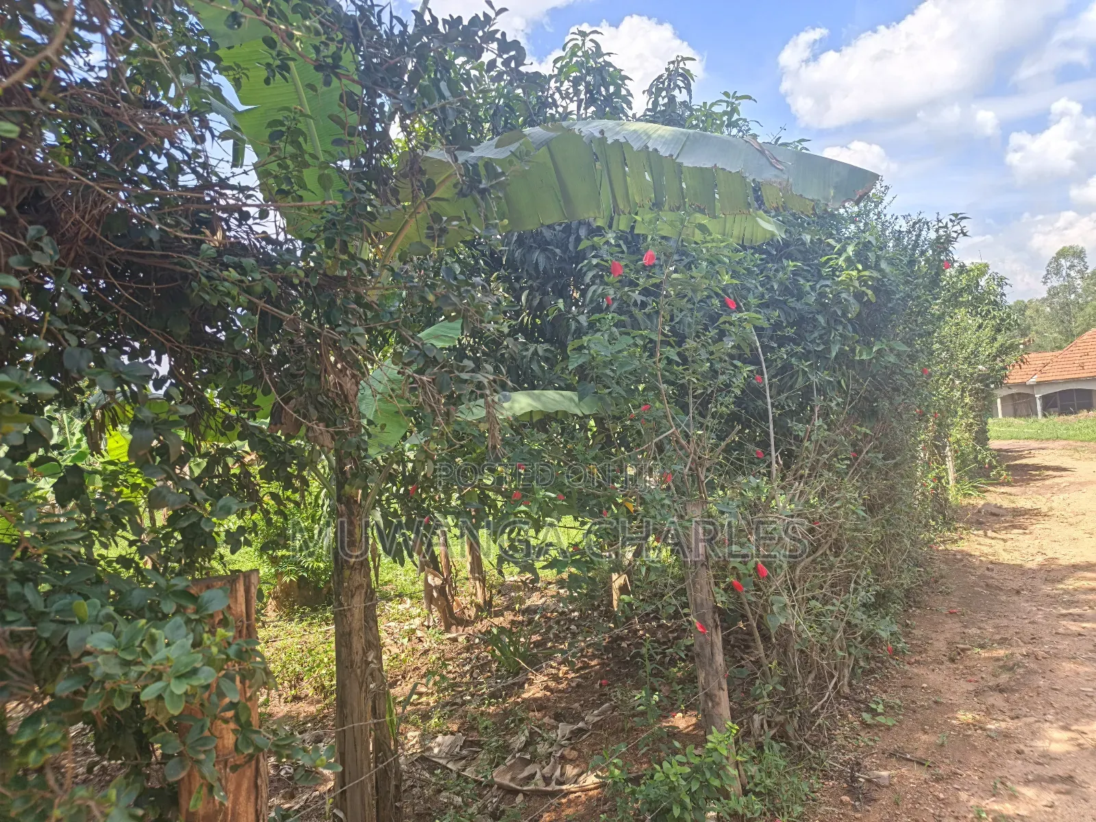 8acres of Land on Sale in Zirobwe Town