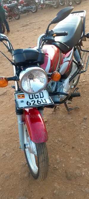 TVS HLX 125 2024 Red