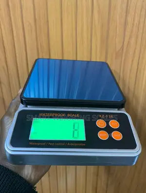 Digital Weighing Scale Compact Design Weigh Digital Weighing Scale
