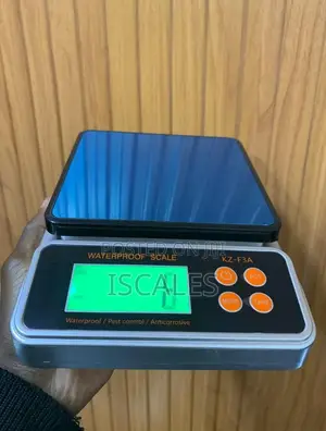 Digital Weighing Scale Compact Design Weigh Digital Weighing Scale