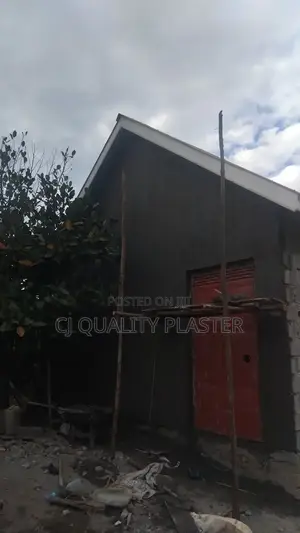 Only Quality Plaster