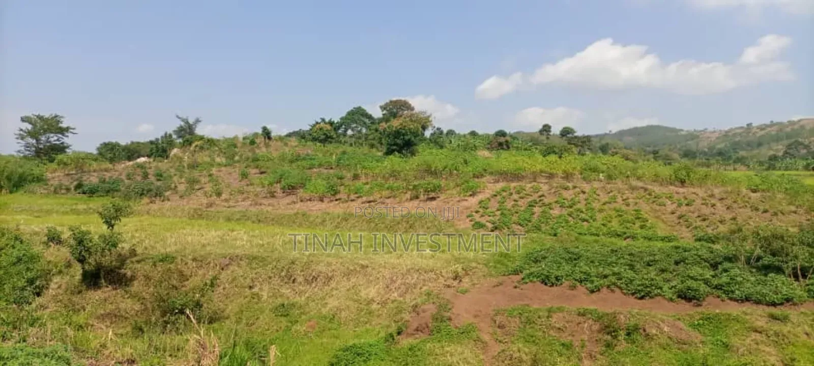 Gobero Muguluka Plots Titled 50ft*100ft