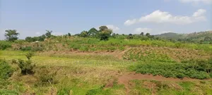 Gobero Muguluka Plots Titled 50ft*100ft