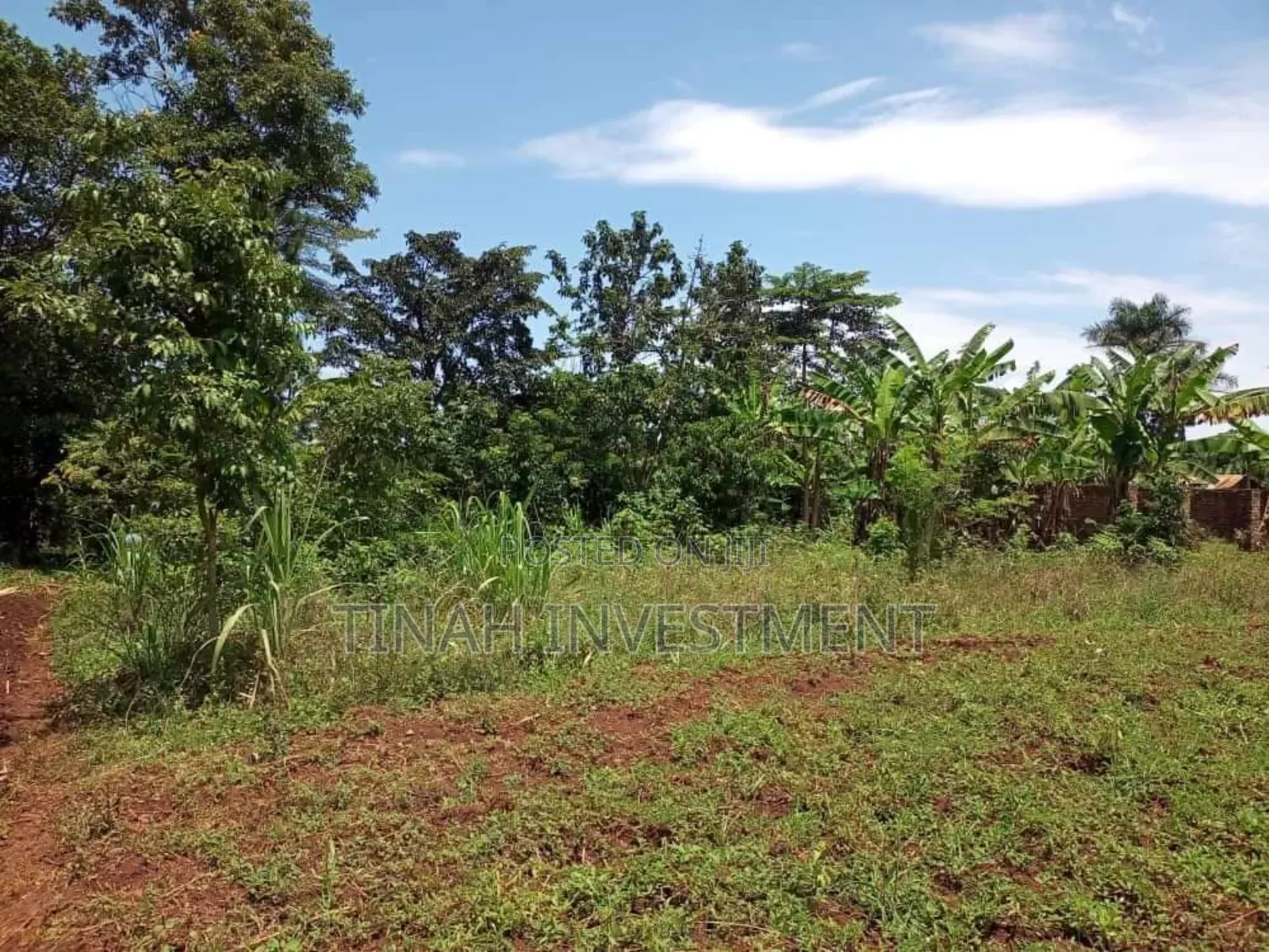 Gobero Muguluka Plots Titled 50ft*100ft