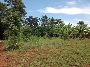 Gobero Muguluka Plots Titled 50ft*100ft