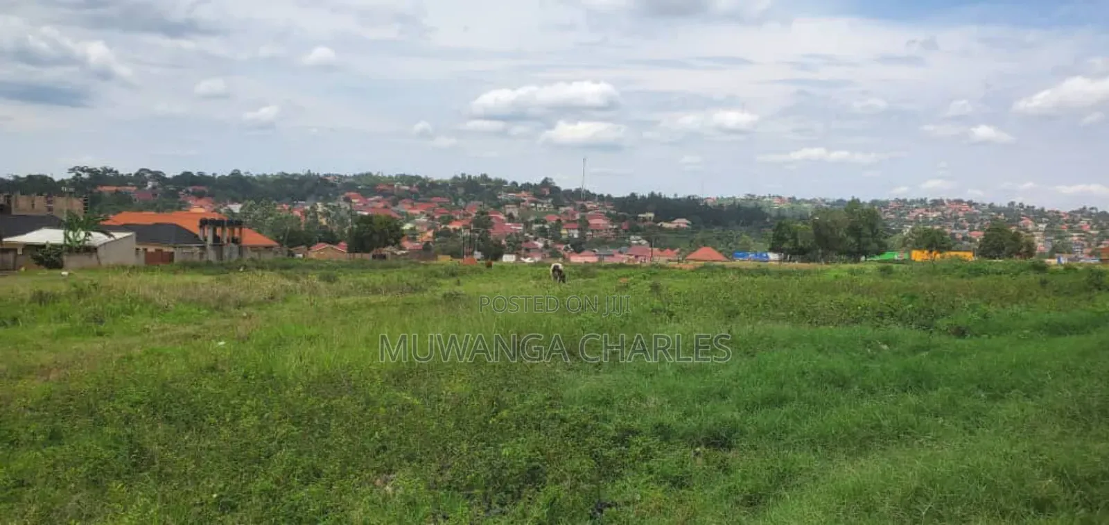 Plot on Quick Sale in Kijabijo Gayaza