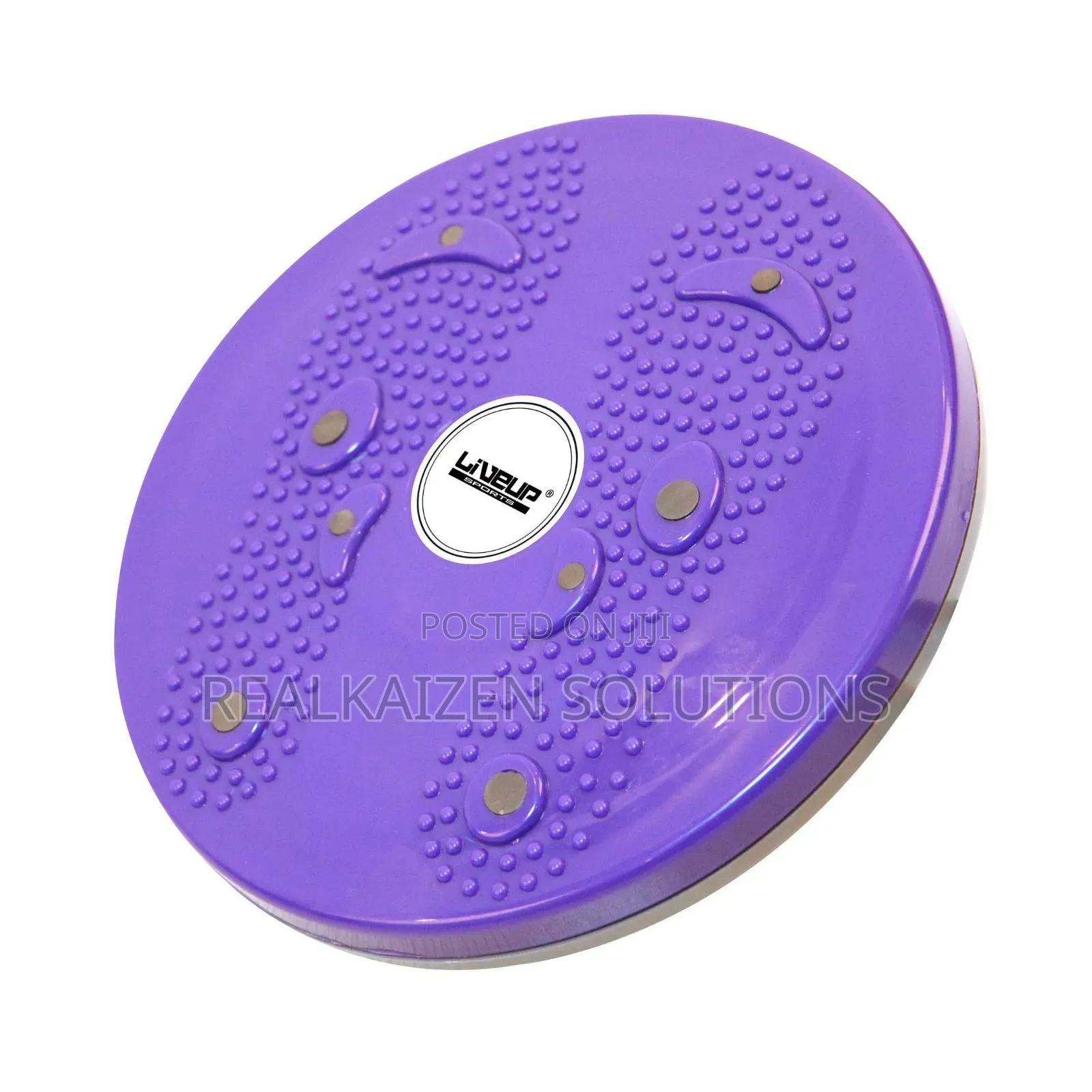 Liveup Sports Waist Twisting Magnetic Disc Trimmer Board