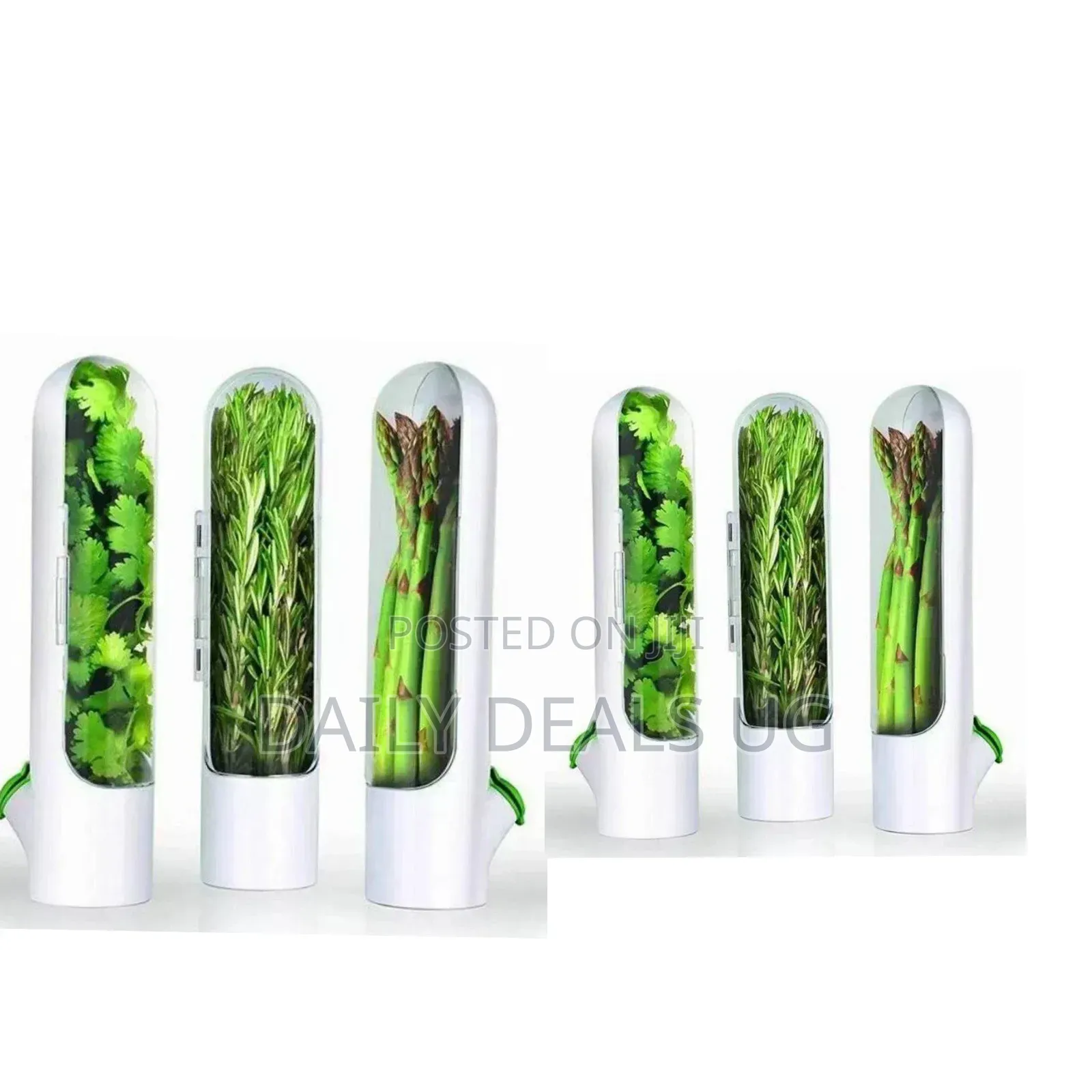 Fridge Herb Saver