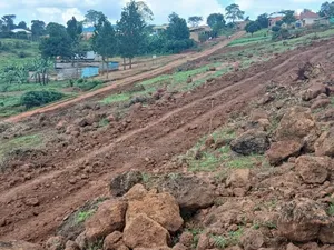 Hot Deal ,50 Plots 50x100 Ready Title -Kiboga