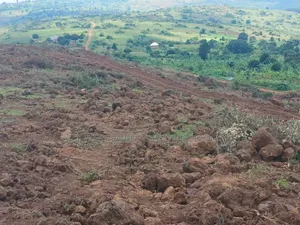 Hot Deal ,50 Plots 50x100 Ready Title -Kiboga