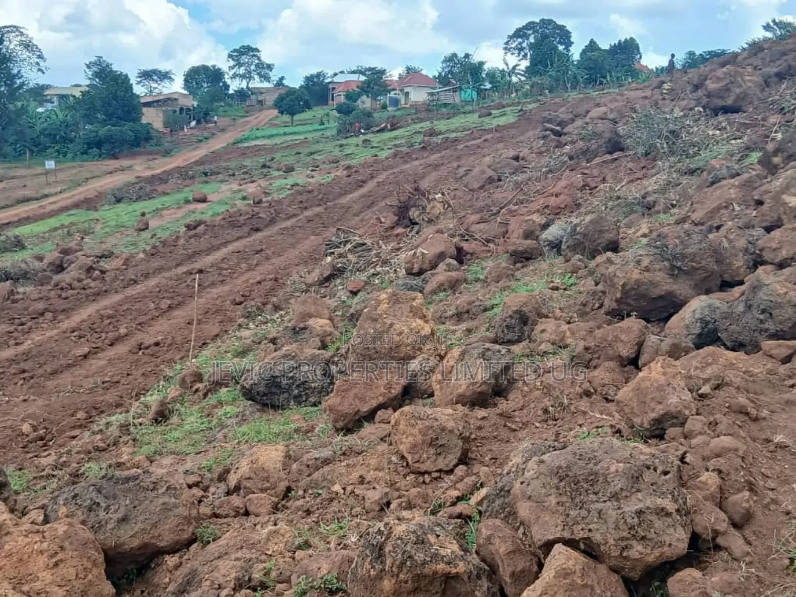 Hot Deal ,50 Plots 50x100 Ready Title -Kiboga
