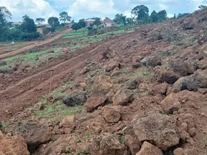 Hot Deal ,50 Plots 50x100 Ready Title -Kiboga