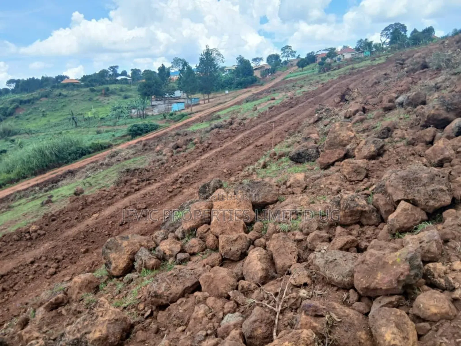 Hot Deal ,50 Plots 50x100 Ready Title -Kiboga