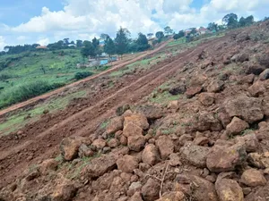 Hot Deal ,50 Plots 50x100 Ready Title -Kiboga