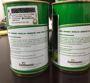 Superbell F1 Hybrid Green Pepper (Capsicum) 500g