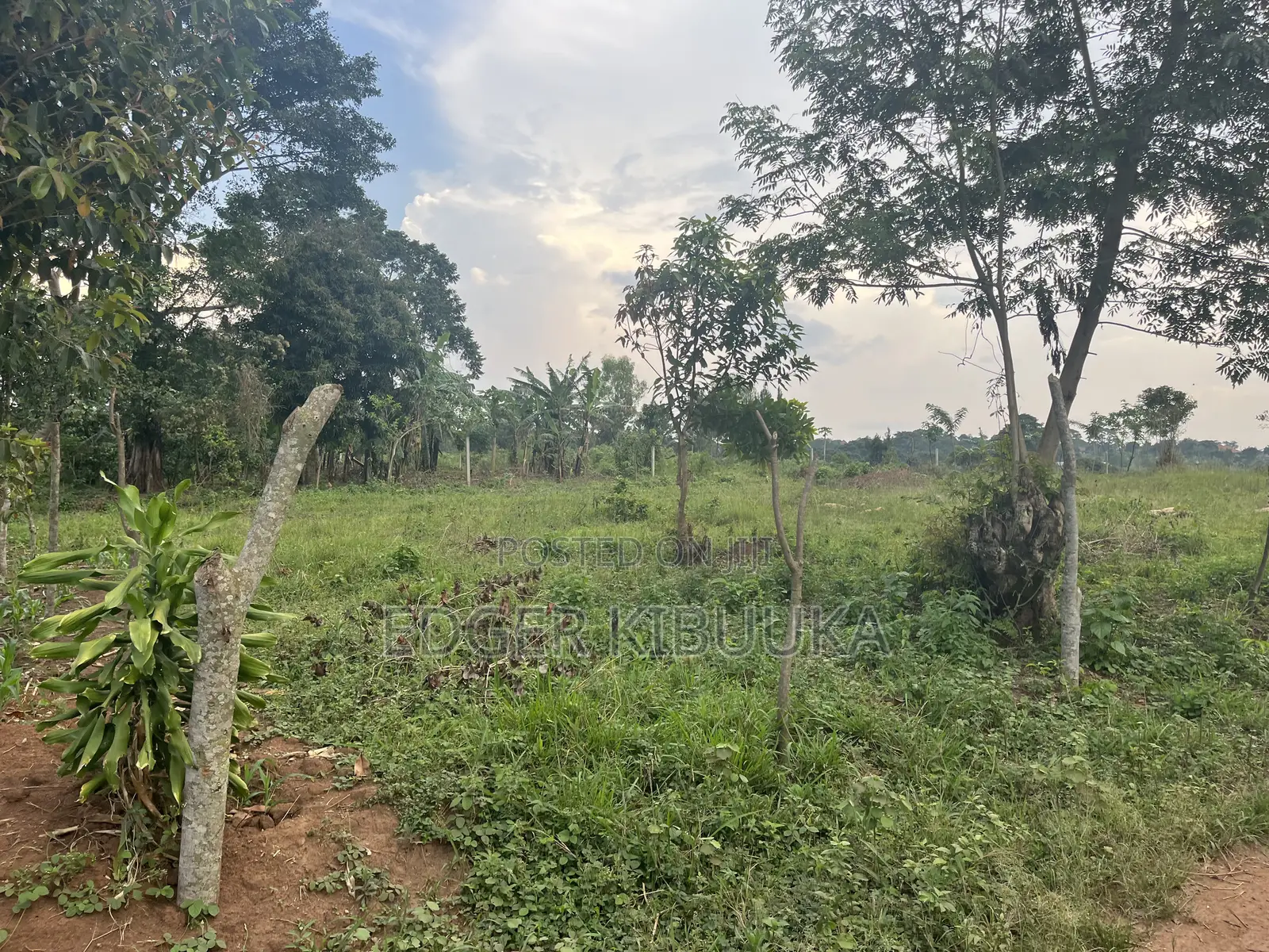 Kiwenda - 500mtrs FRM the Main Road