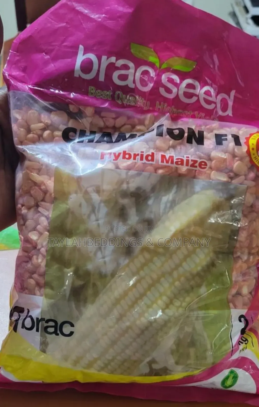 Hybrid Maize Champion F1 Seeds 2kg