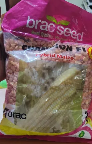 Hybrid Maize Champion F1 Seeds 2kg
