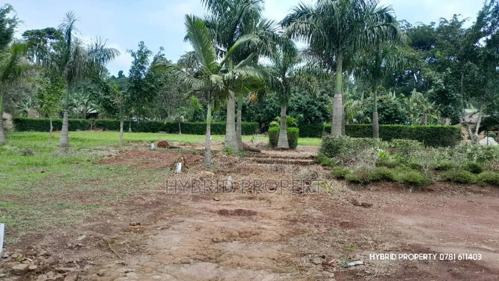 Prime Plots for Sale at Nakirebe~Nankwala Land Estate Along Masaka Rd.