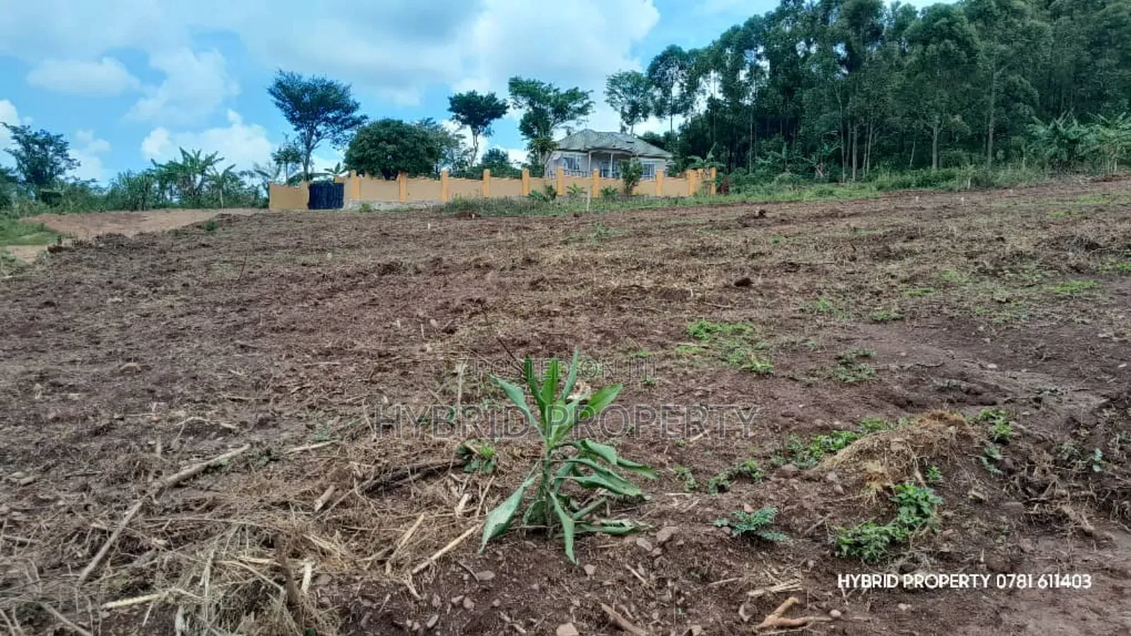 Prime Plots for Sale at Mpigi~Mpambire Phase Ii Estate~Masaka Road.