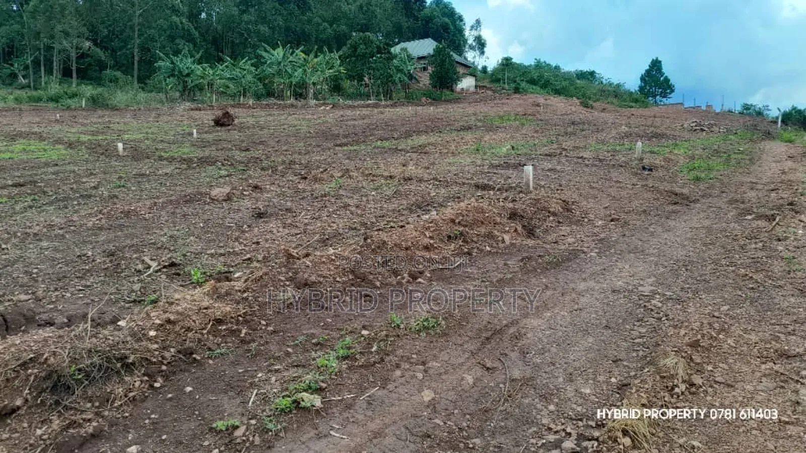 Prime Plots for Sale at Mpigi~Mpambire Phase Ii Estate~Masaka Road.
