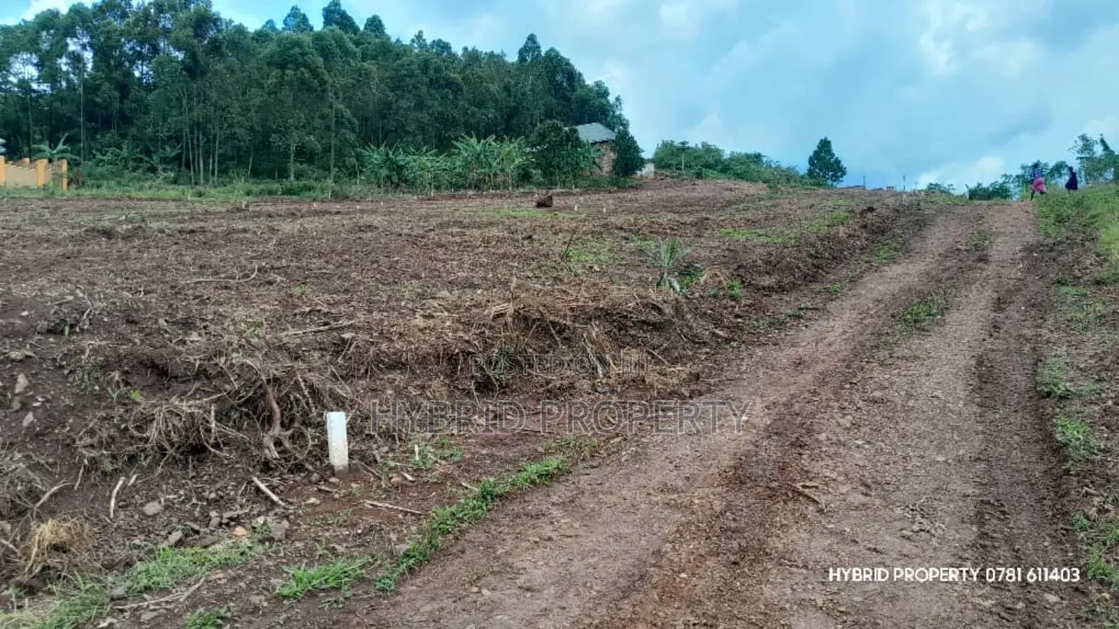 Prime Plots for Sale at Mpigi~Mpambire Phase Ii Estate~Masaka Road.