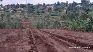 Prime Plots for Sale at Mpigi~Kubikondo Estate~Masaka Road.