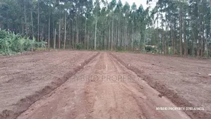 Prime Plots for Sale at Mpigi~Kubikondo Estate~Masaka Road.