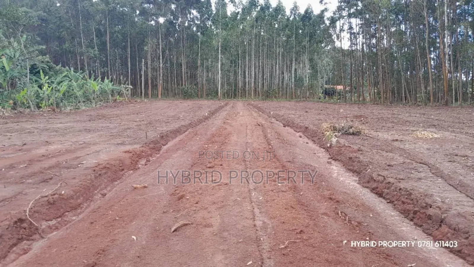 Prime Plots for Sale at Mpigi~Kubikondo Estate~Masaka Road.