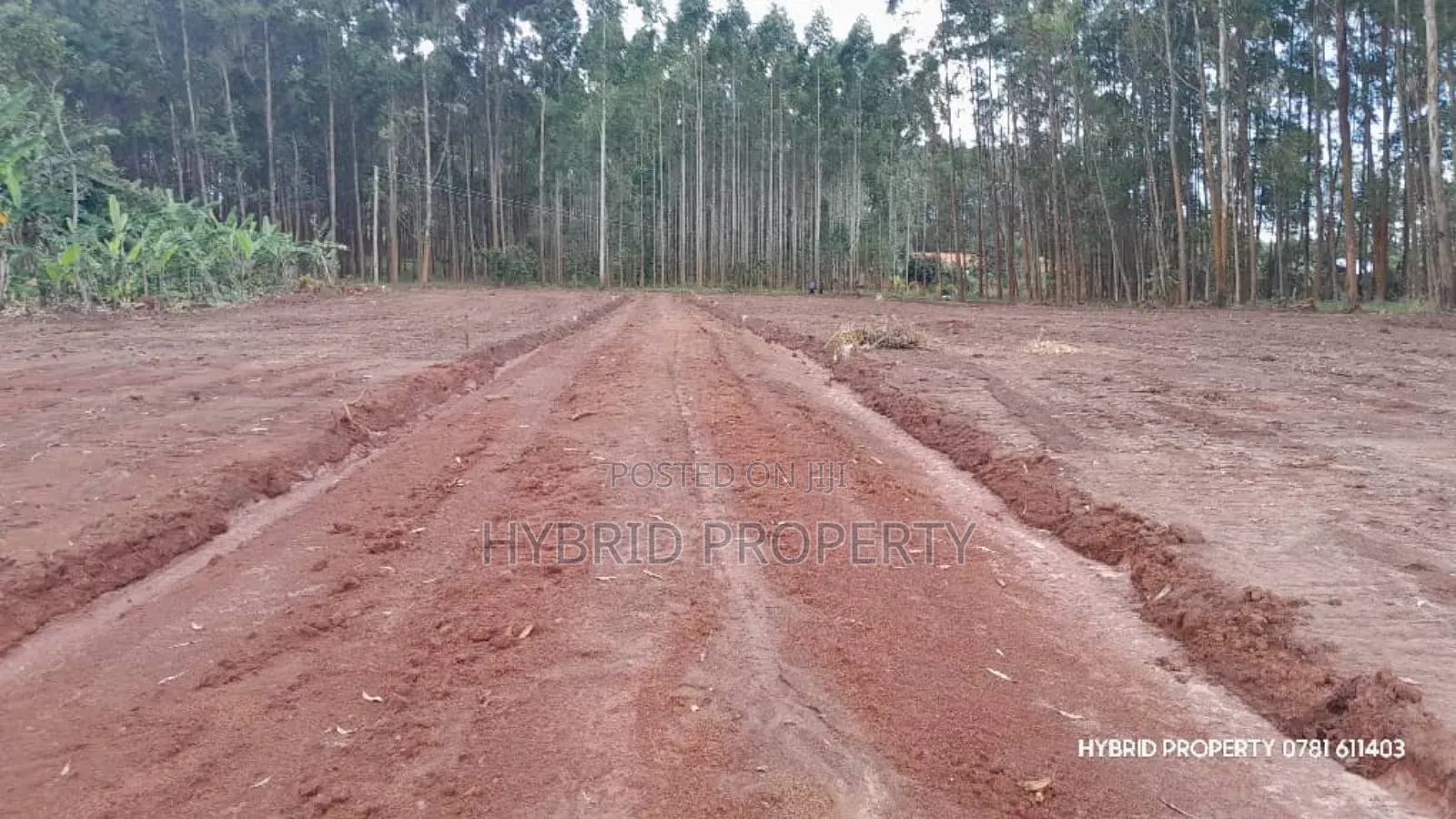 Prime Plots for Sale at Mpigi~Kubikondo Estate~Masaka Road.