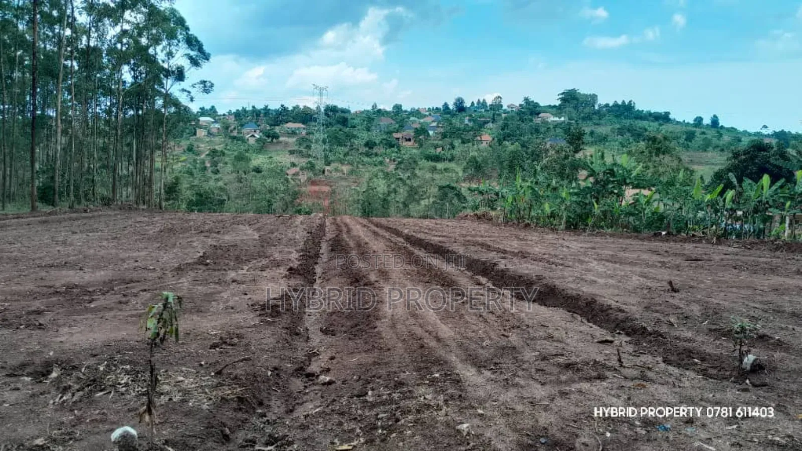 Prime Plots for Sale at Mpigi~Kubikondo Estate~Masaka Road.