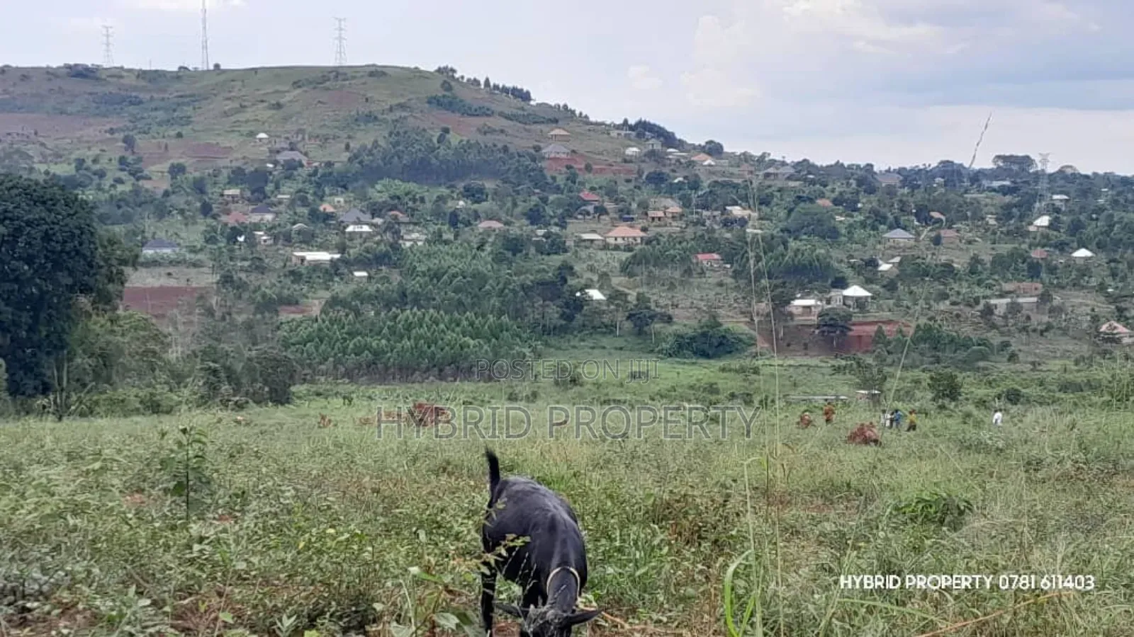 Prime Plots for Sale at Mpigi~Kalagala Land Estates~Masaka Road