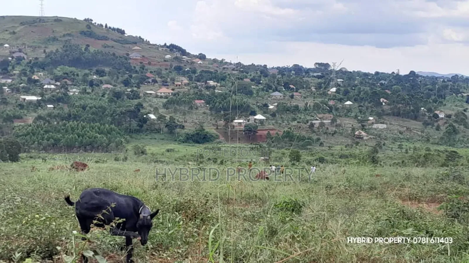 Prime Plots for Sale at Mpigi~Kalagala Land Estates~Masaka Road
