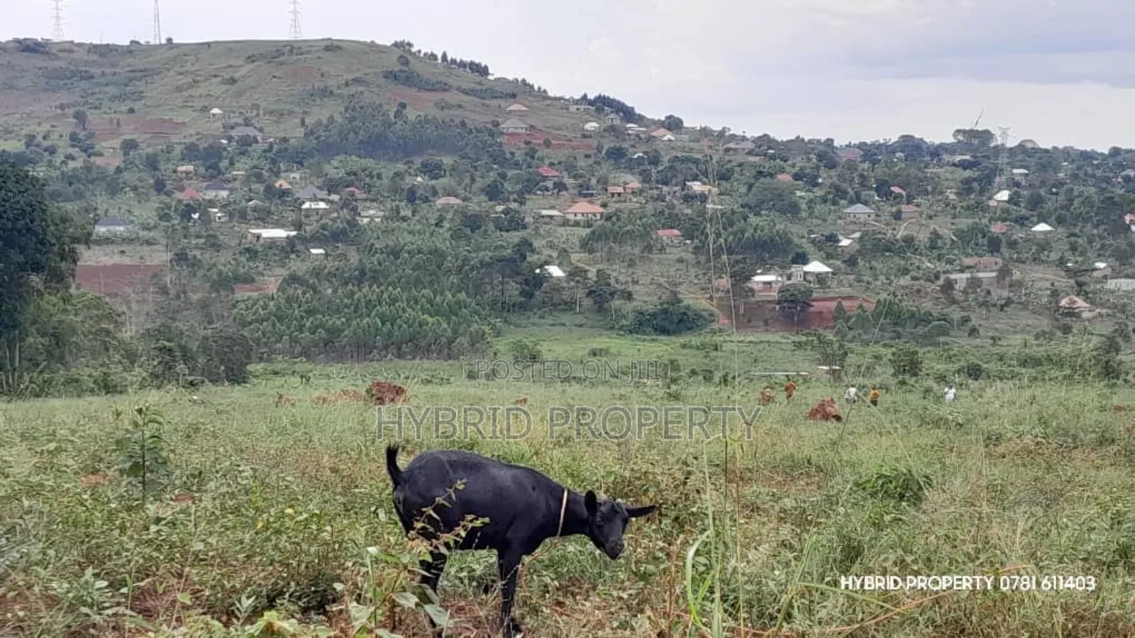 Prime Plots for Sale at Mpigi~Kalagala Land Estates~Masaka Road