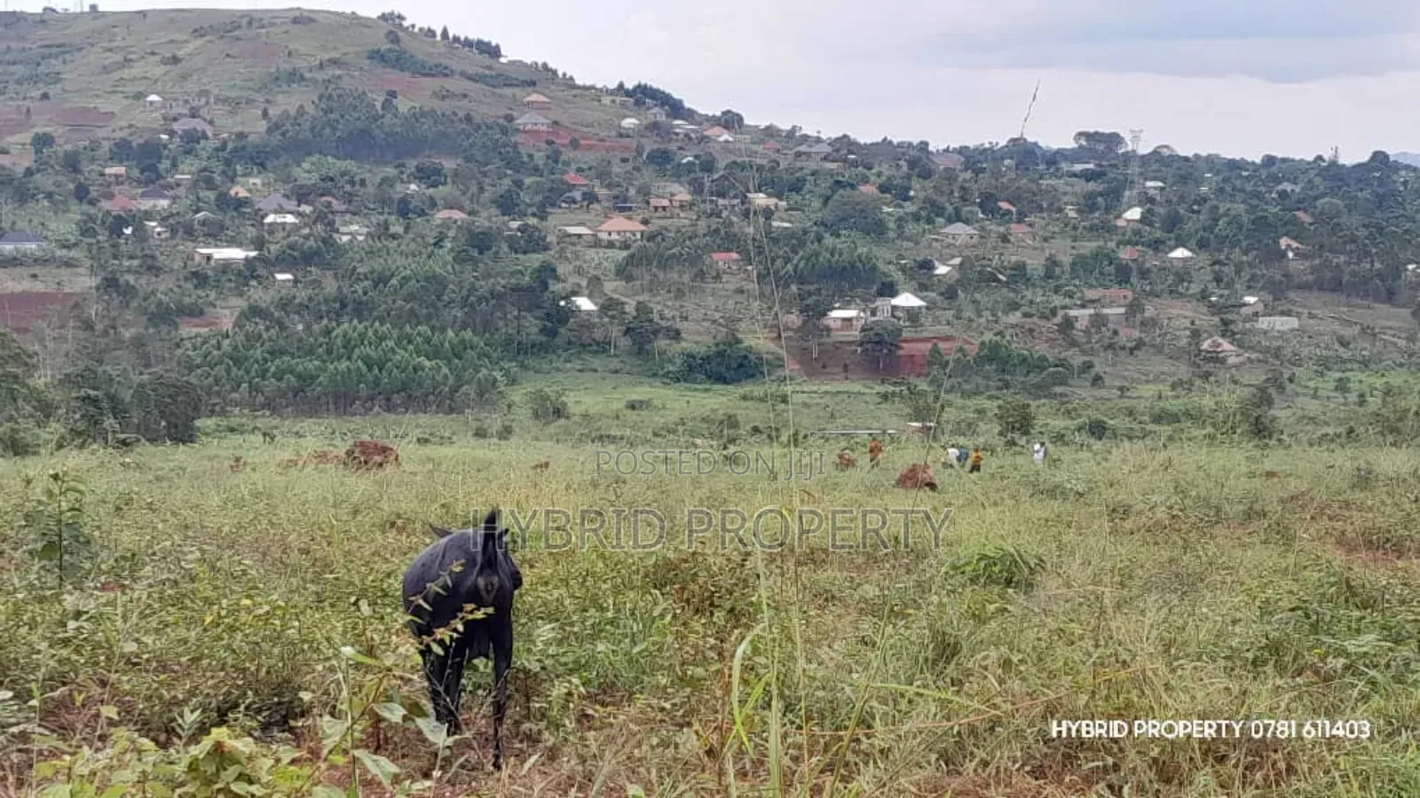 Prime Plots for Sale at Mpigi~Kalagala Land Estates~Masaka Road