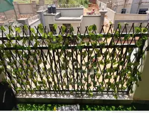 Wall Balcony Decorations Plants Each