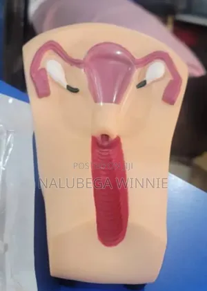 Iud Teaching Model