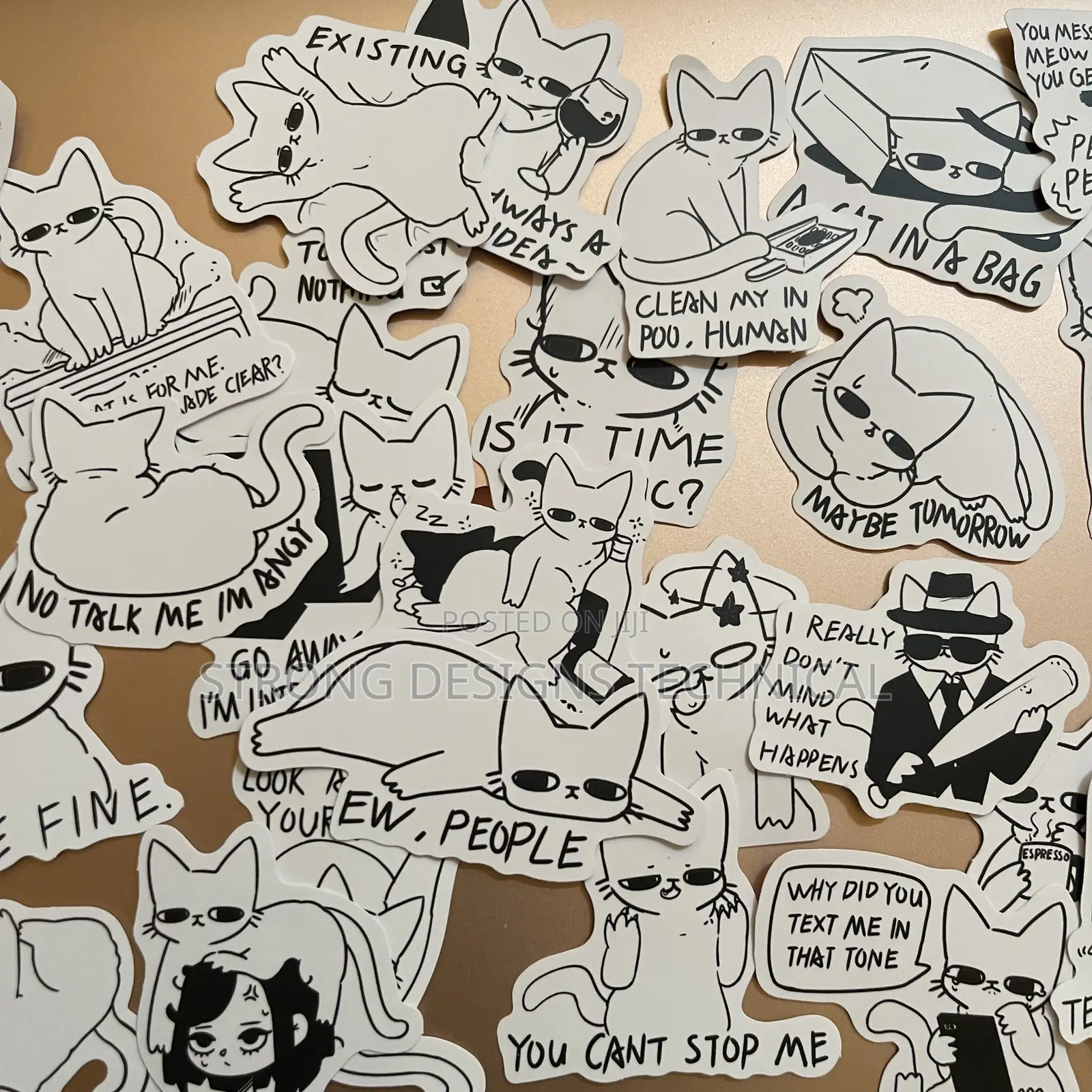 Funny Sarcastic Cat Stickers for Laptops/ Books/ Phones.