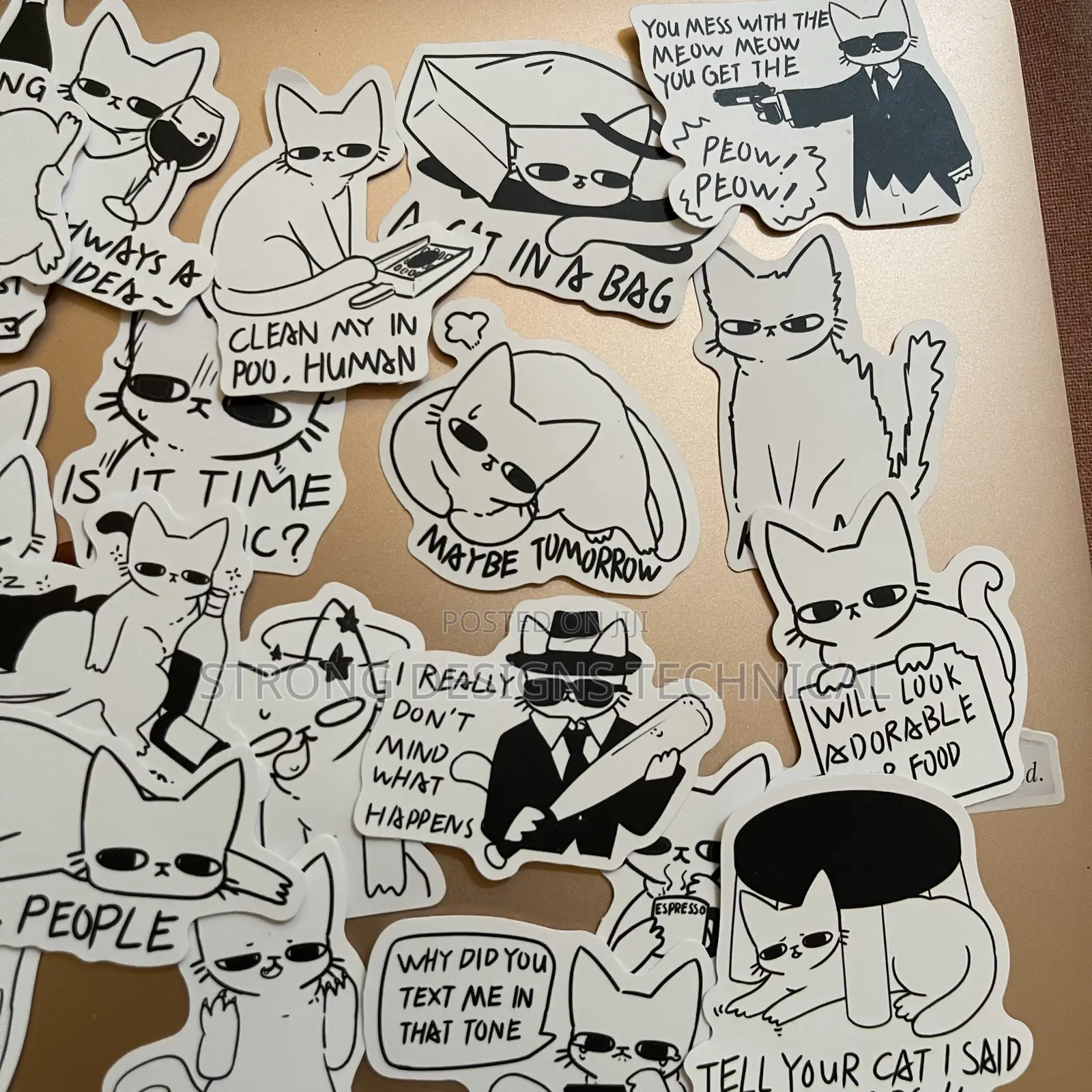 Funny Sarcastic Cat Stickers for Laptops/ Books/ Phones.